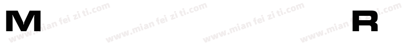 Microgramma Regular字体转换